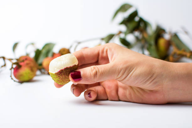 Woman hand holding lychee fruit on white background