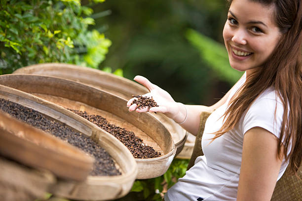 "Dry clove,focus on clove, canon 1Ds mark III"