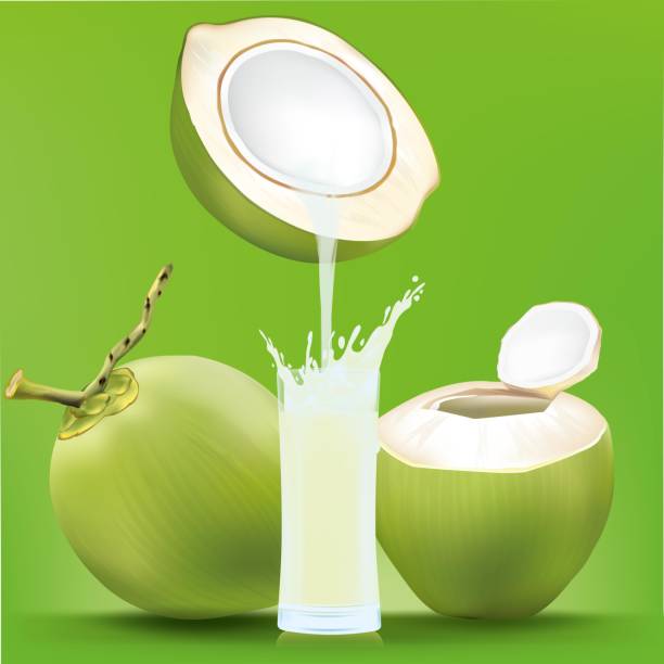 Drinking water from coconut comes down to the glass.illustration vector