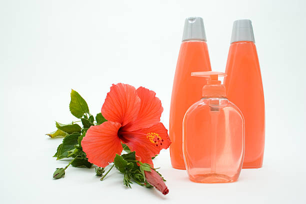hibiscus 1