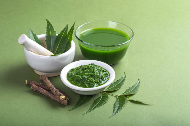 Neem Leaves Benefits: सुबह खाली पेट खा लें नीम की पत्तियां, लिवर से लेकर डायबिटीज तक होगी कंट्रोल