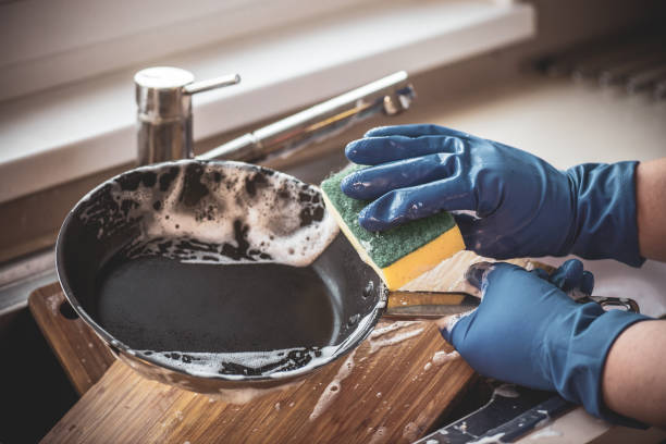 Harmful Bacteria In Kitchen Sponges: बर्तन धोने वाला स्पंज है बेहद खतरनाक, उसे ऐसे करें साफ और इतने दिन में बदलें