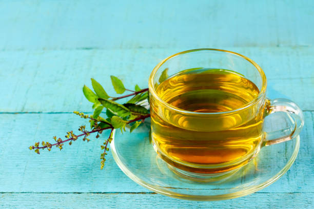तुलसी का पानी पीने के जबरदस्त फायदे Amazing benefits of drinking Tulsi water