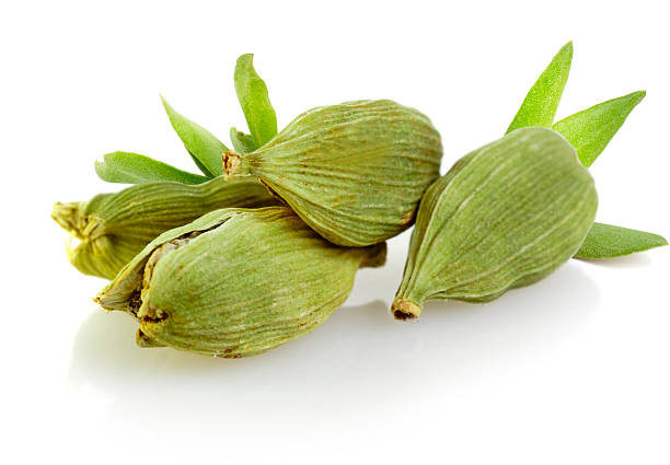 What are the secrets behind the big benefits of cardamom