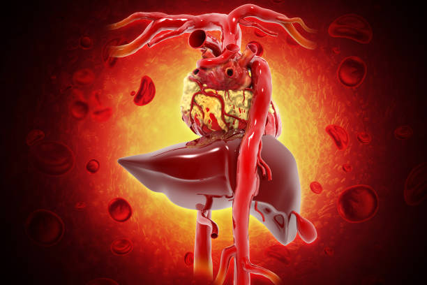 Diseased liver on abstract medical background. 3d illustration