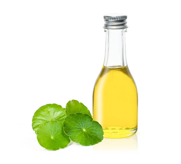 Centella Asiatica essential oil with leaf on white