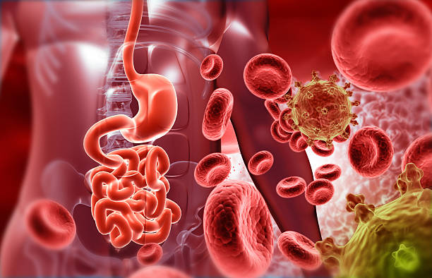Human stomach digestive system with virus, bacterial infection. 3d illustration