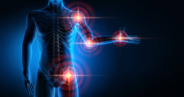 4. Bone and Joint Support Foods Eat Your Way to Pain-Free Joints