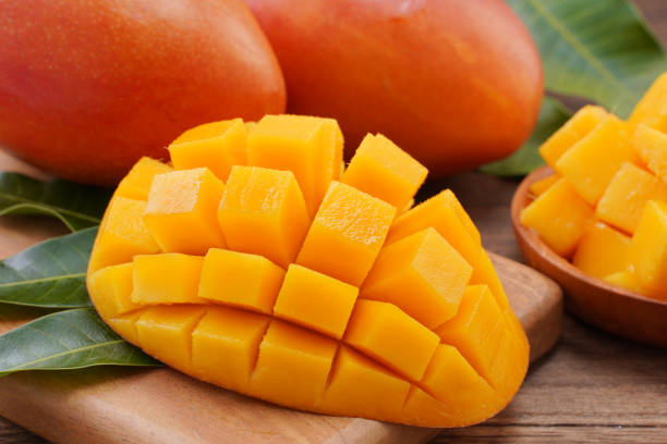 istockphoto-1172667133-612x612