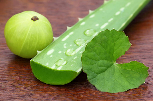5 foods to pair with amla to boost immunity naturally
