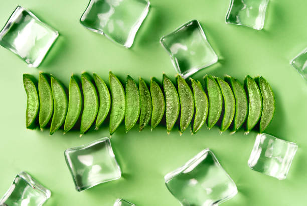 How to make aloe vera ice cubes for instant glowing skin How to make aloe vera ice cubes for instant glowing skin