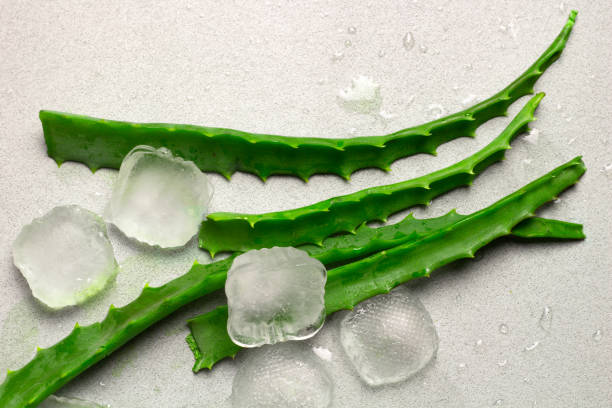 How to make aloe vera ice cubes for instant glowing skin How to make aloe vera ice cubes for instant glowing skin