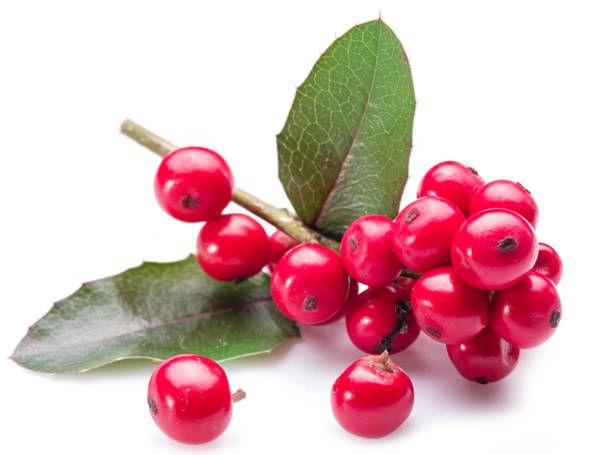 5 fat burning breakfast smoothies to try