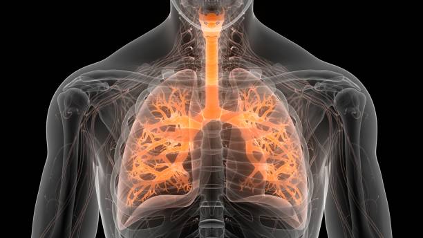 Which vitamin deficiency causes shortness of breath Which vitamin deficiency causes shortness of breath