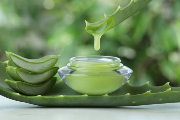 Benefits of applying aloe vera gel on face overnight