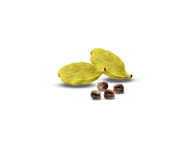 Health Benefits Of Chewing Elaichi At Night Health Benefits Of Chewing Elaichi At Night
