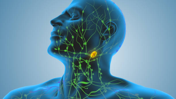 What happens when you add Cardamom to your regular chai