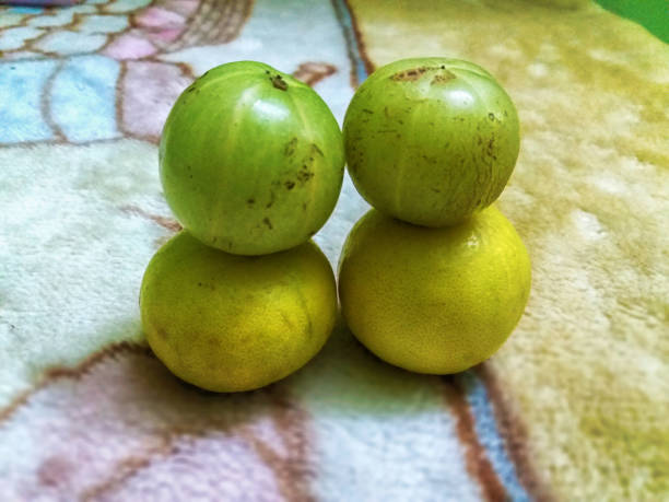 5 foods to pair with amla to boost immunity naturally