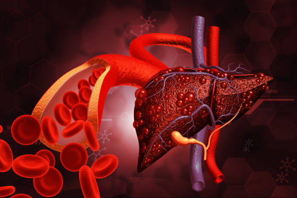 5 signs your liver is not functioning well