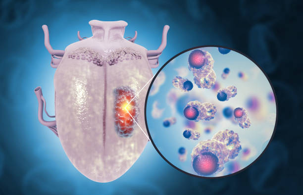 5 Fast Growing Stomach Cancers You Shouldn’t Ignore