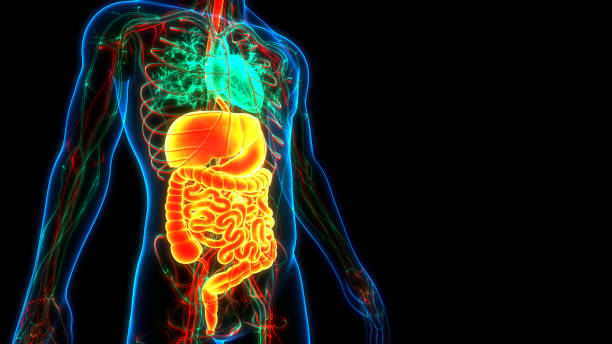 5 Fast Growing Stomach Cancers You Shouldn’t Ignore