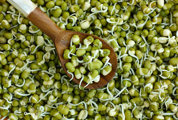 What Happens When You Eat Sprouts for Breakfast Every Day